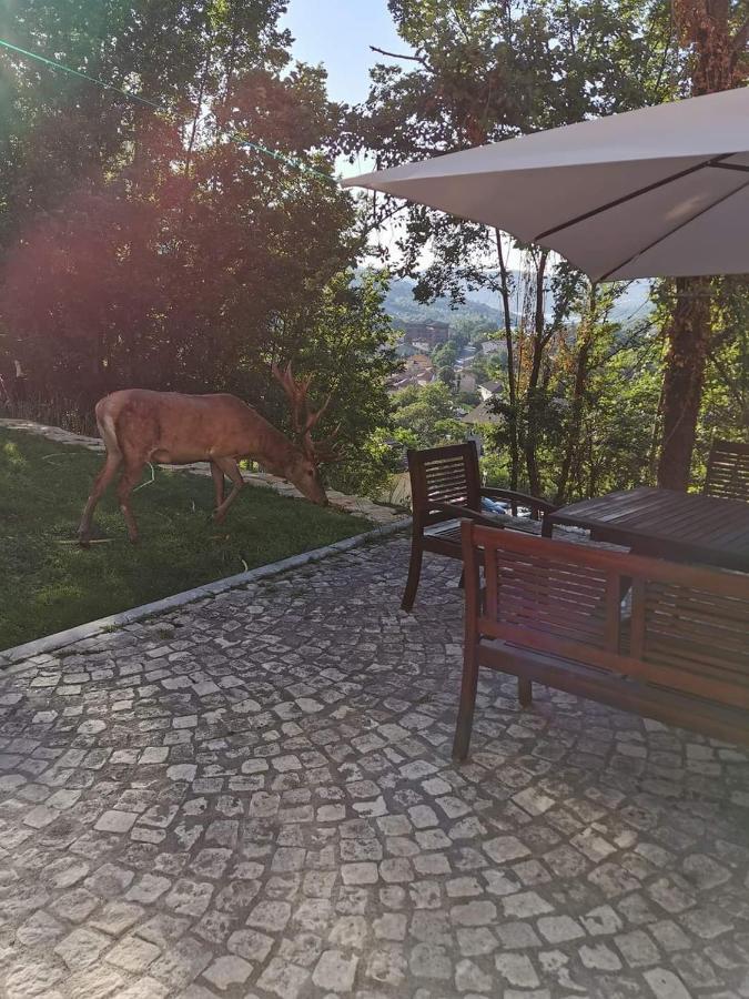 Casa Vacanze Al Castello Villetta Barrea Eksteriør bilde
