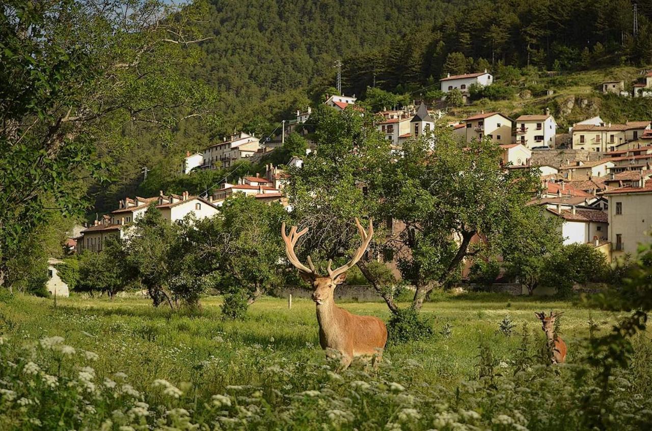 Casa Vacanze Al Castello Villetta Barrea Eksteriør bilde