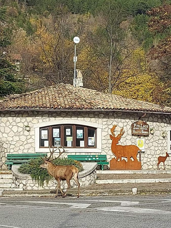 Casa Vacanze Al Castello Villetta Barrea Eksteriør bilde
